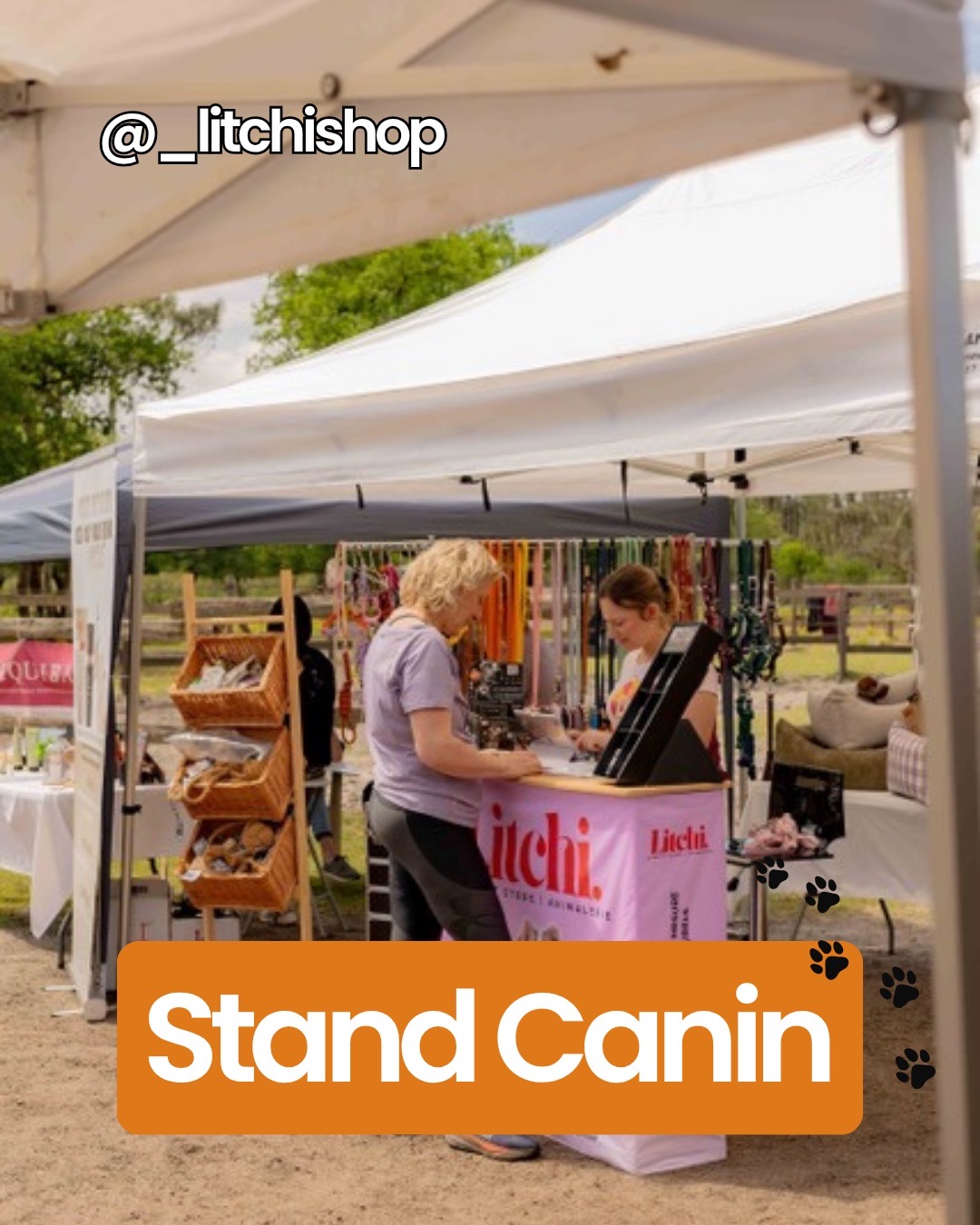 Stand partenaire IMG 5281 à Joli Carrosse